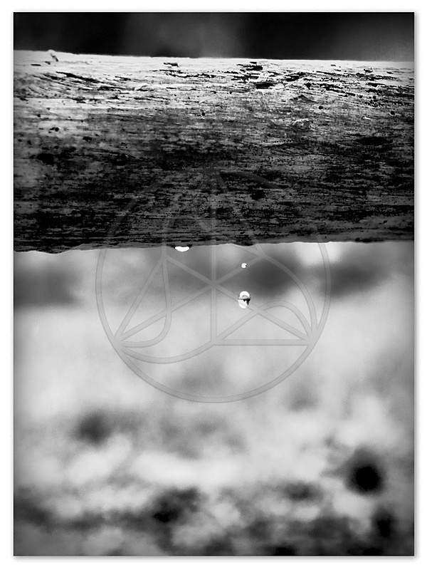 MU_061 - Small Format