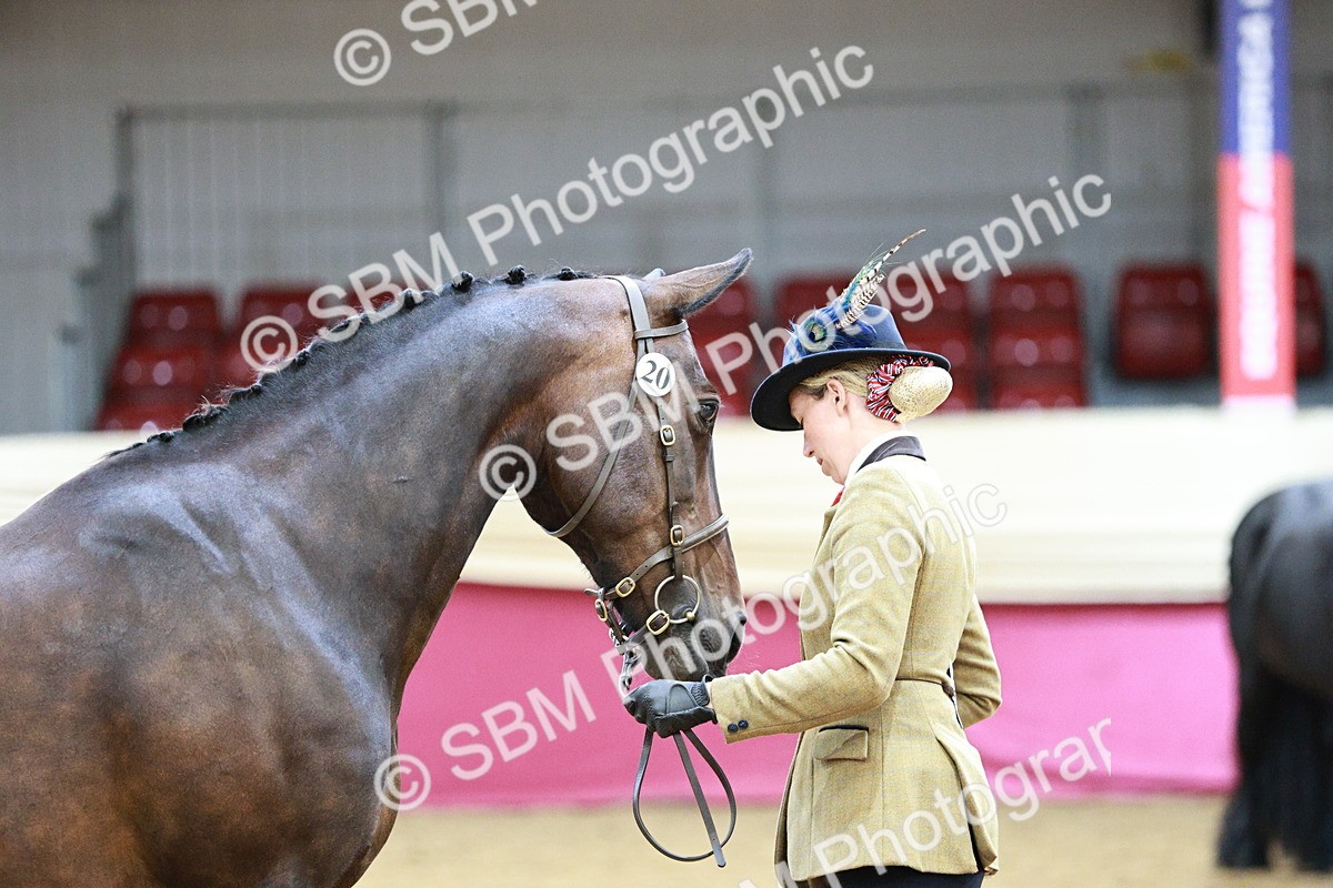 SBM_01001 - Class 2A - Area IH Veteran
