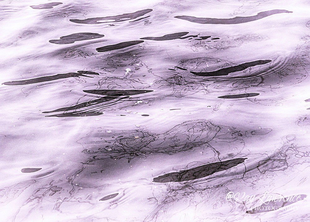 Violet_RLP0024 - Double Take