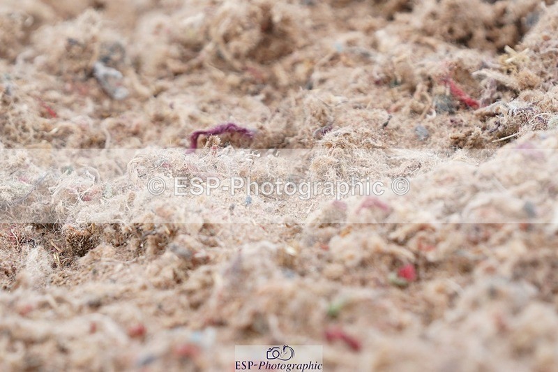 250622-130030-15928 - Cls 58 Freestyle Adv Medium Inc Presentations