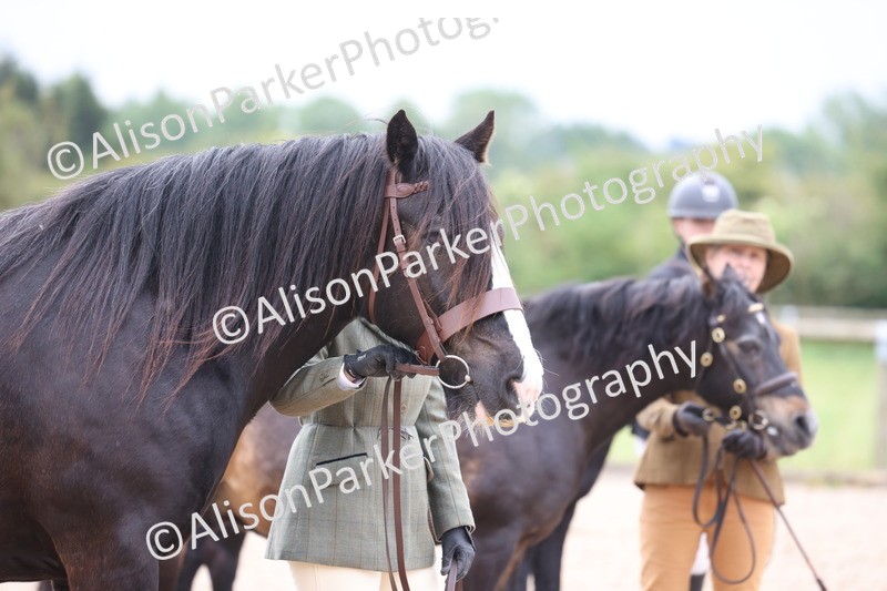 20250524-0777 - Class 7 - Veteran