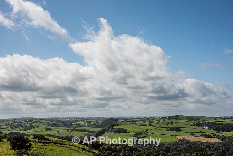 ACP_2482-2 - Rural Views