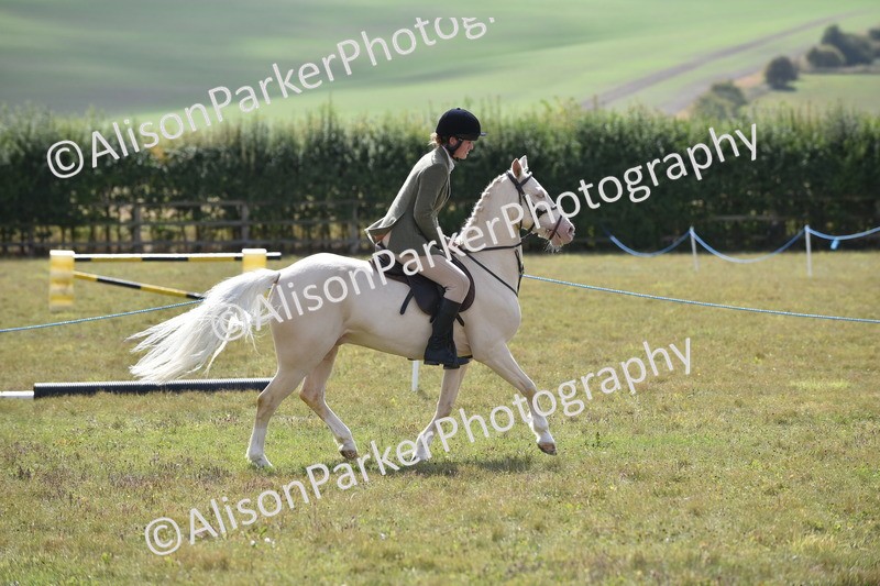 20250831-4089 - Class 13 - Working Hunter Horse or Pony