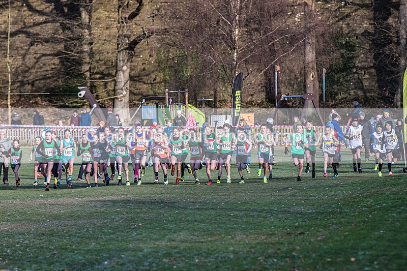 Cumbria XC-146 - Cumbria Cross Country Championships (Junior & Senior Races) Saturday 3rd January 2026
