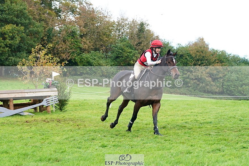 251025A-110100-17232 - D-370-Ruby.Sturgis