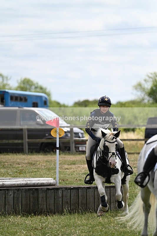 WJ7_5555 - 80cm XC Pairs