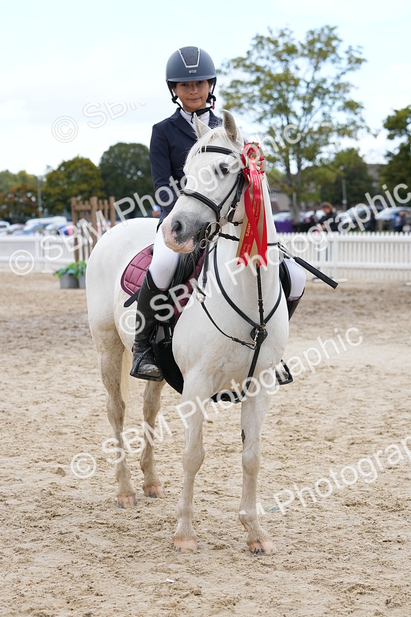 SBM_40881 - Supreme Championship Pony 50-55cm