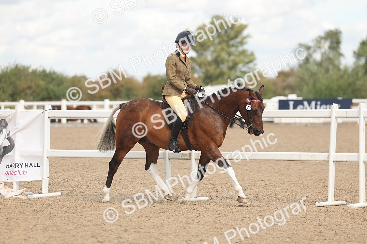 SBM_14628 - Class 307 - Ridden Coloured Pony