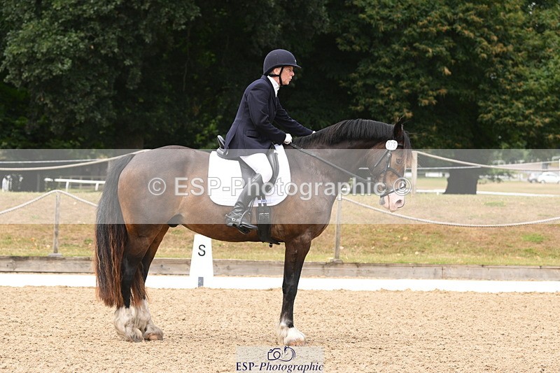 250720A-120203-10139 - 079-Amanda.Williams-Llanarth.Westminster