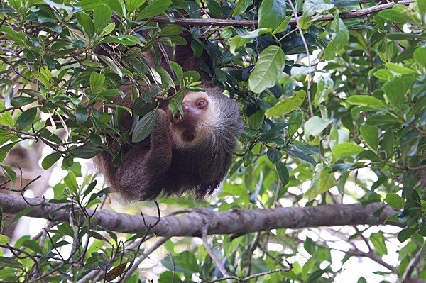  - Costa Rica
