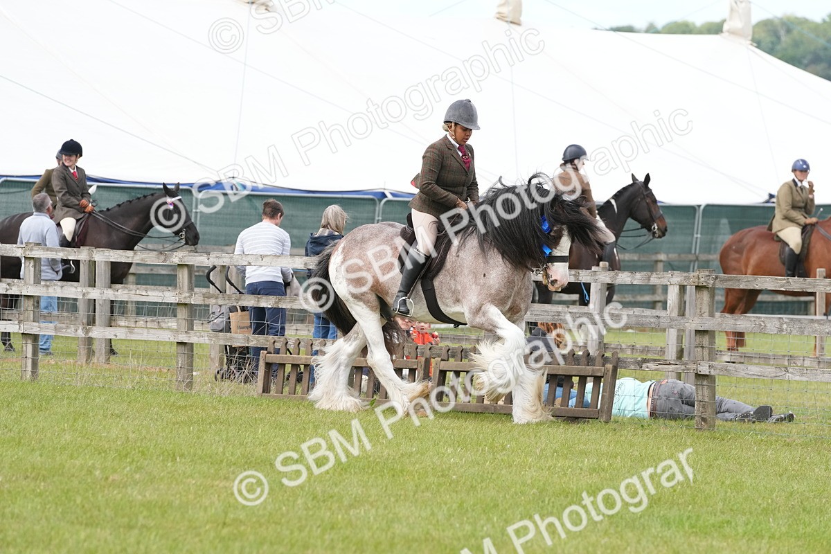 SBM_17649 - Class 107-108 - LIHS BSPS Performance Coloured Horse Pony