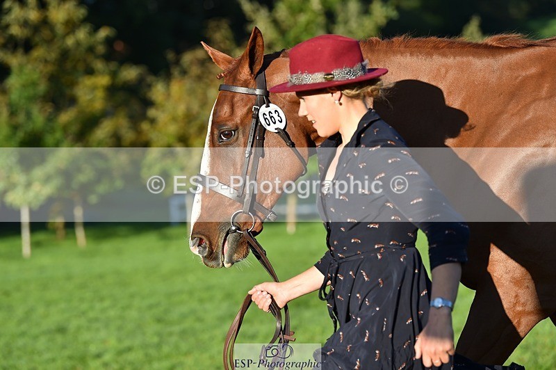 231022-091948-21707 - 663-GROOVY.GUY-Hannah.Watson-TrotUp+SJ