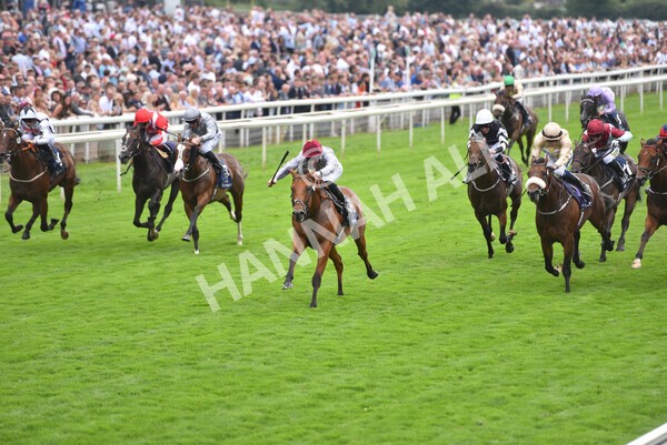 yr20082021r3-22 - Race 3 3.00pm Al Basti Equiworld Dubai Gimcrack Stakes