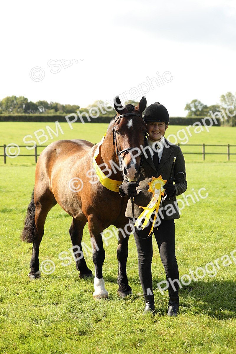 SBM_62351 - S45 - Mini Show Cob In Hand