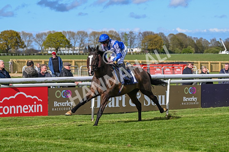 250424-Race 5-Arthurs Realm-1563 - Race 5