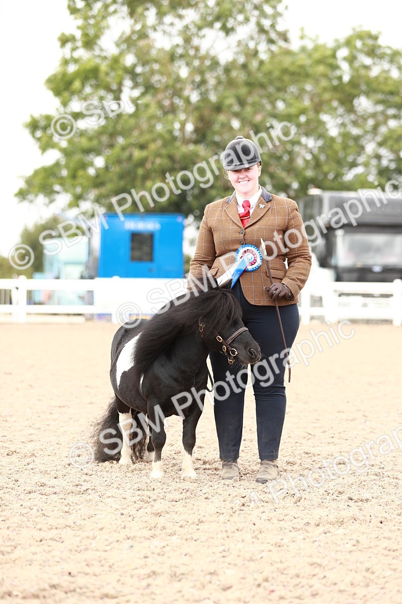 SBM_12555 - Class 207 IH M&M