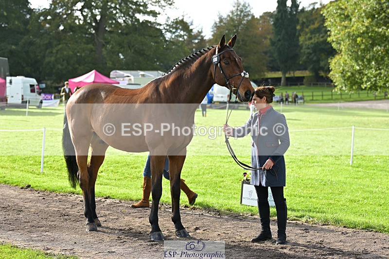 241023-132624-00287 - 053-Lois.Teal-Z7.CATASTROPHE