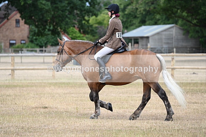 WJ6_7364 - Class 9 Tack and Turnout