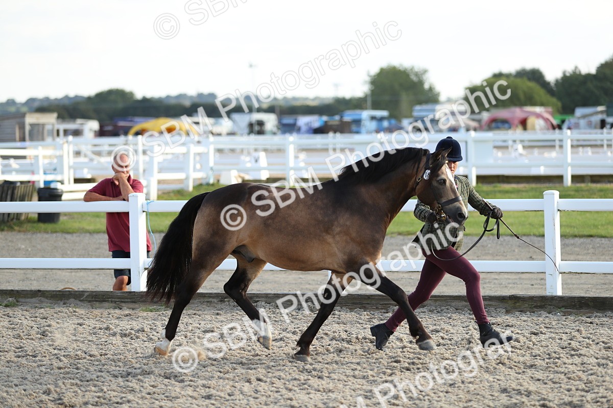 SBM_08940 - Class 29 IH Veteran Pony