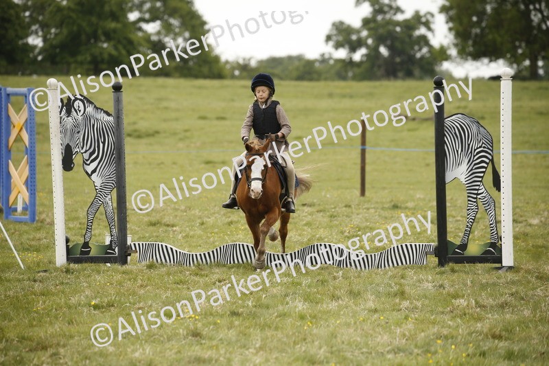 20250517-0969 - Class 2 - 30cm Off Lead Rein
