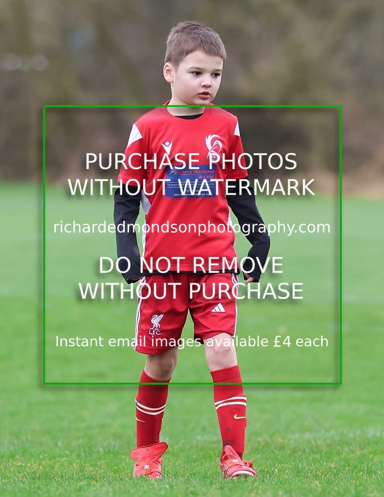 533A0808 - Ibis Under 7's (28/2/26)