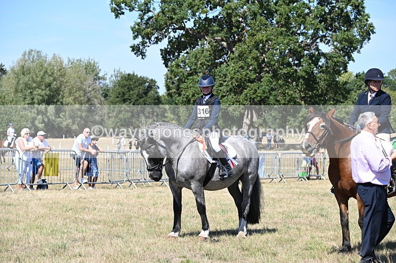 WJ6_8465 - Class 37a Best Loan Pony Ridden