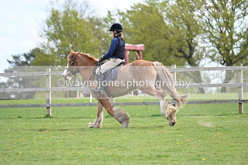 WJ7_6376 - 60cm Time 11:12 to 11:36