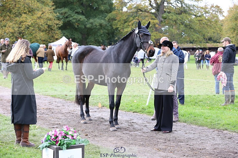 251026A-120308-25850 - G-519-Amy.Miller