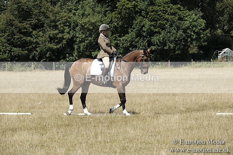 _PJP5888 - Dressage Classes BVRC Show 2018