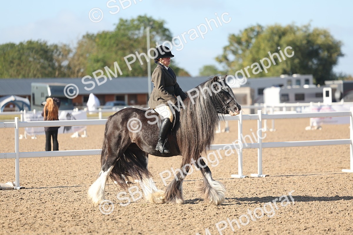 SBM_22194 - Class 802 - Ridden Groom Helpers Class