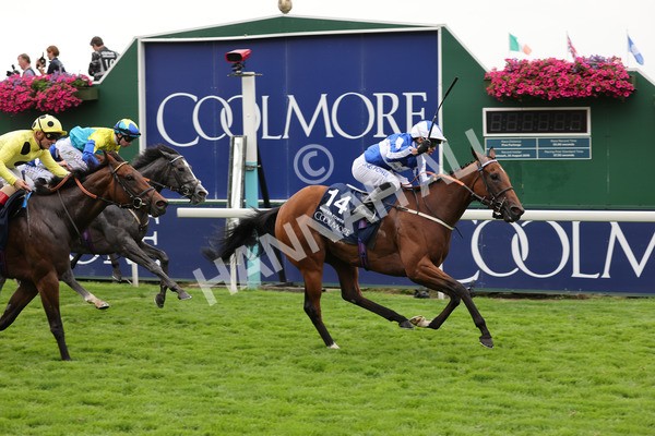 yr20082021r4-102 - Race 4 3.35pm Coolmore Wootton Bassett Nunthorpe Stakes (British Champions Series Race)