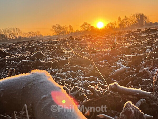 PhotoMynottART124 - Photo Mynott ART Images
