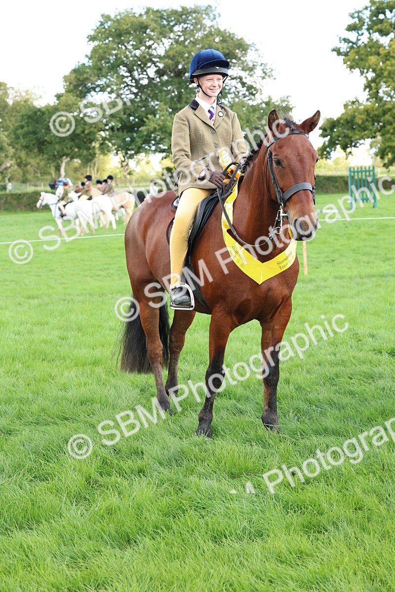 SBM_45566 - S33 - Working Hunter Pony