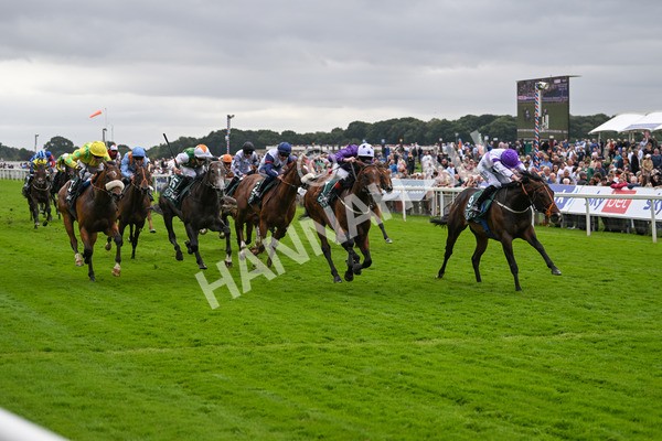 220824-Race 2-Diligently-6827 - Race 2 2.25pm Harry's Half Million By Goffs Premier Yearling Stakes