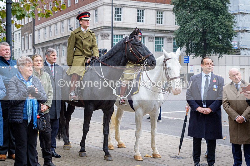 NGP_8274 - 2024 Animals in War Remembrance Gathering