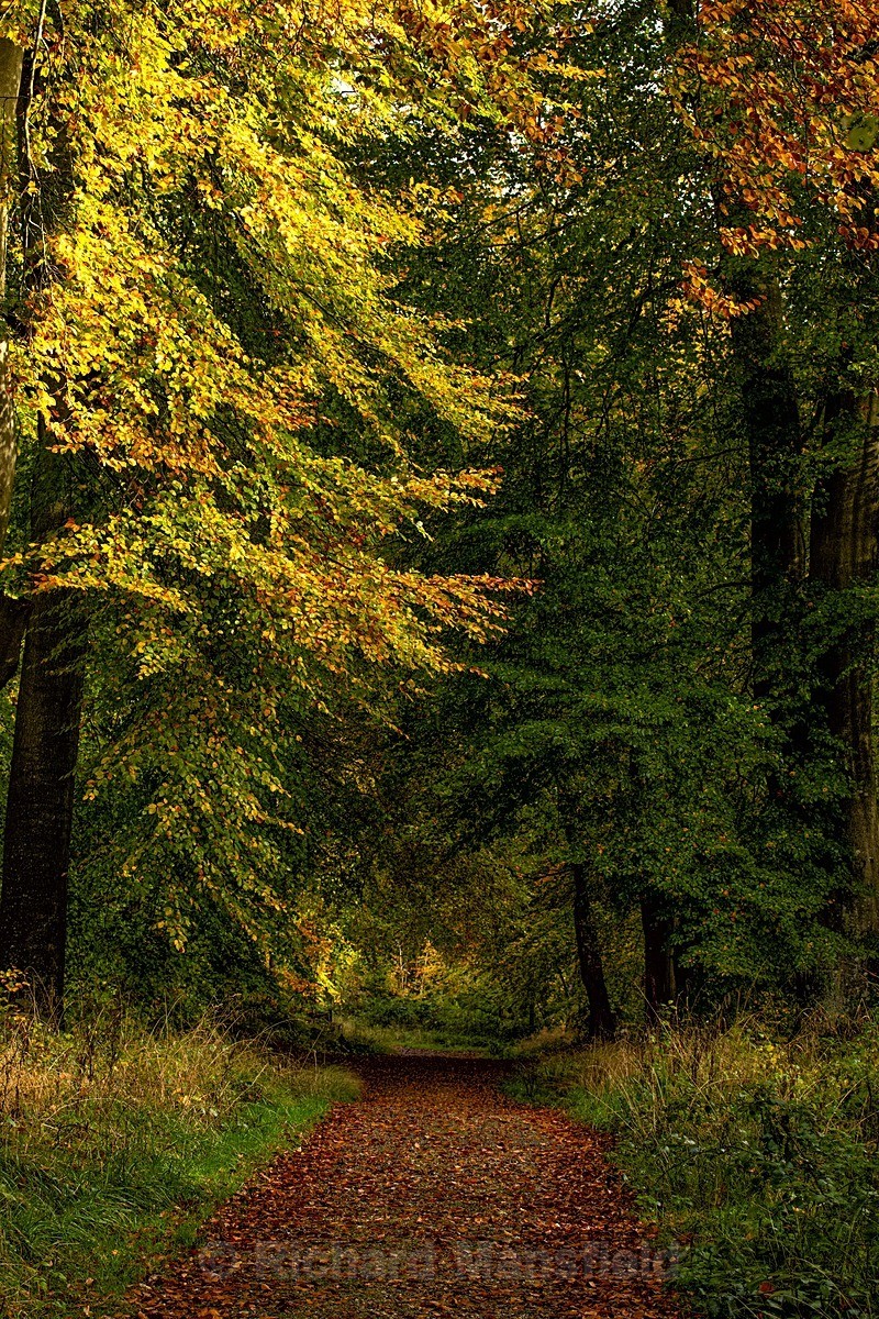  - Autumn