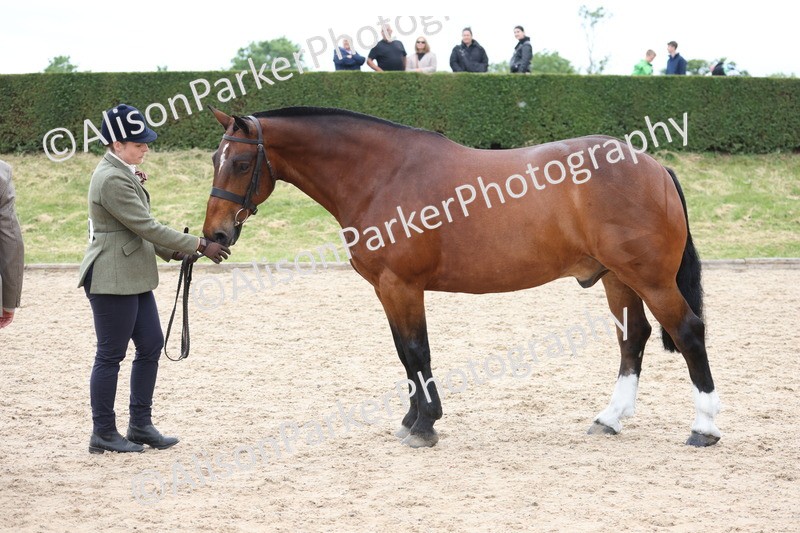 20250524-1015 - Class 9 - Cob and Hunter