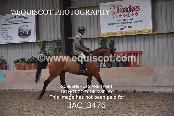 JAC_3476 - CLASS 9 BHS Scotland Riding Club Working Hunter Qualifier