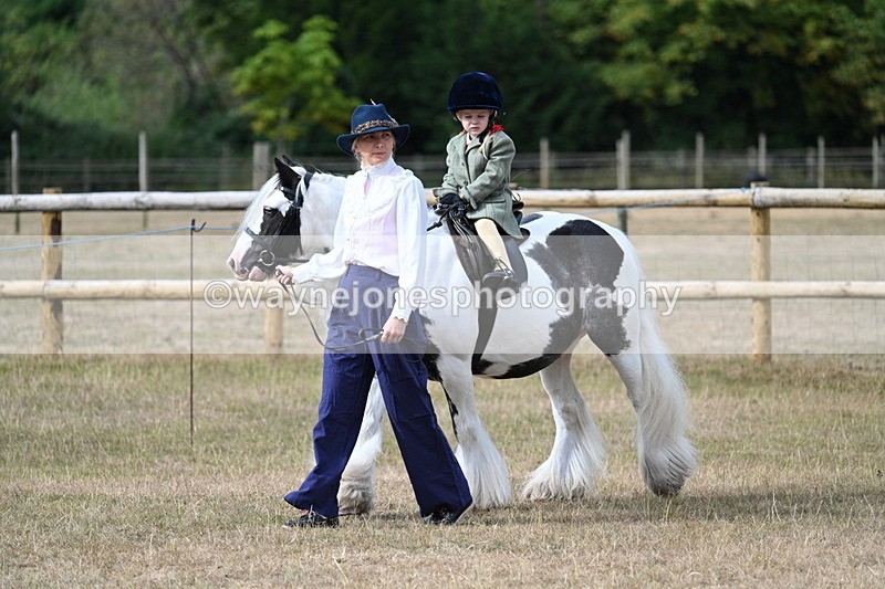 WJ7_6293 - Class 1 Lead Rein Pony