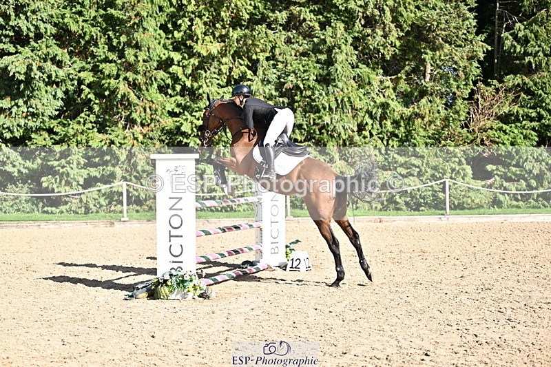 260906A-160917-04585 - Cls 24 Snr Foxhunter