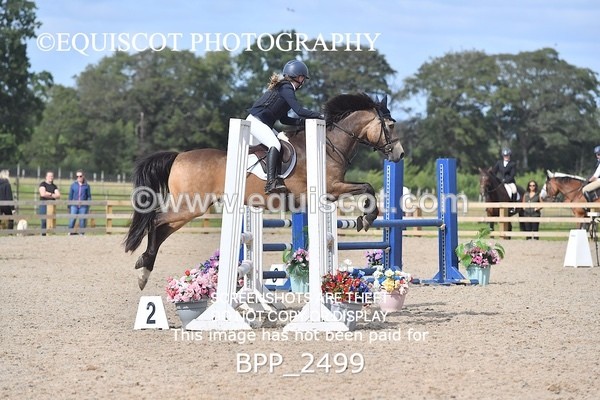 BPP_2499 - DERBY CLASS 7 - 80CM