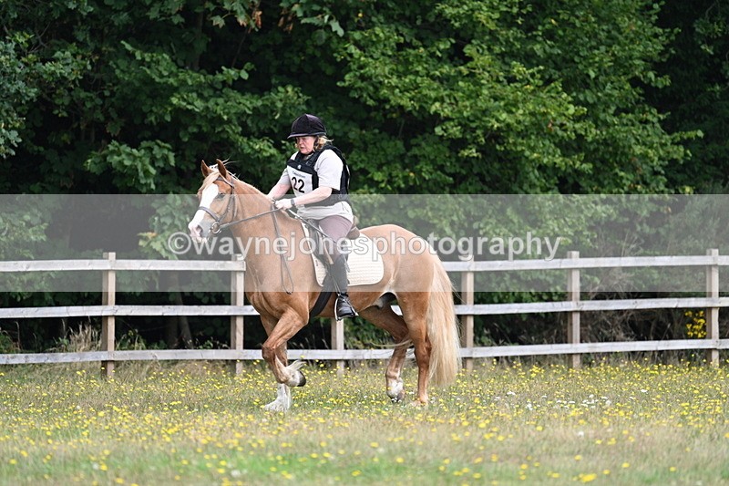 WJ7_0290 - XC Time 10:05 to 12:27