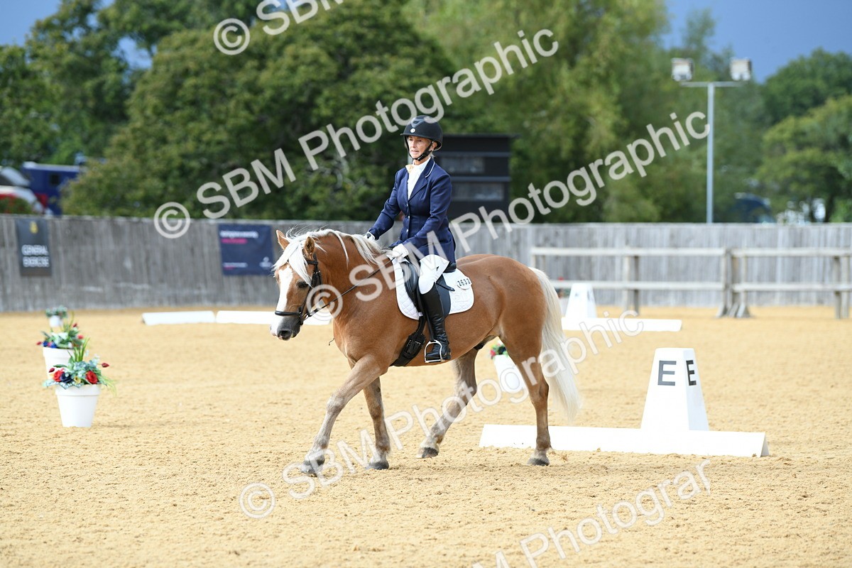 SBM_10898 - D28 Elementary Taster Elementary 42