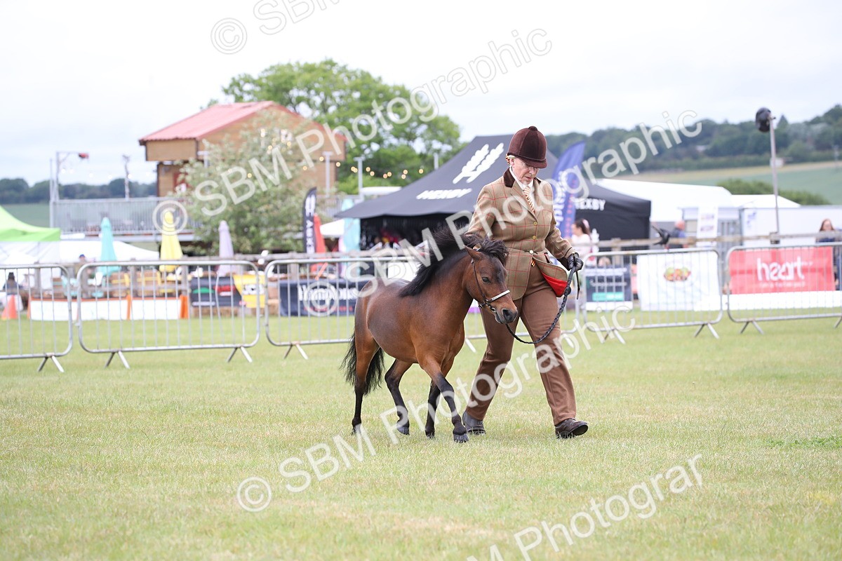 SBM_03764 - Class 23-25 - British Miniature Horse of the Year