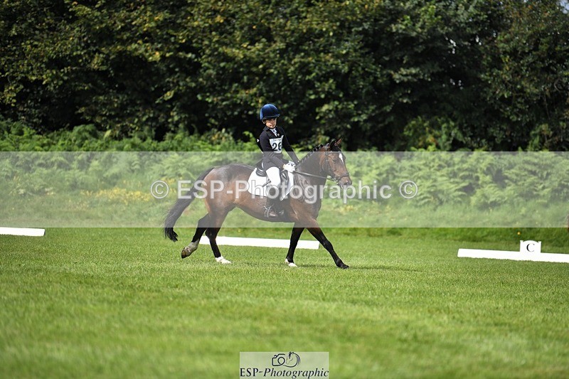 230826-111007-15758 - Sections C & D 10 to End