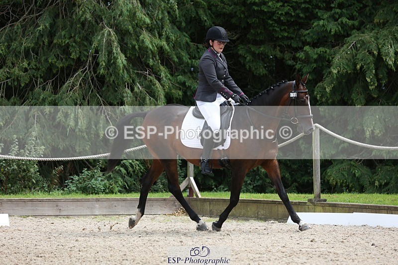 230812-135346-04339 - Cls 5 Novice Bronze 13.40 to 14.45 break