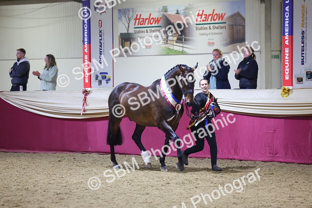 0B8A4557 - Class P Veteran Champ