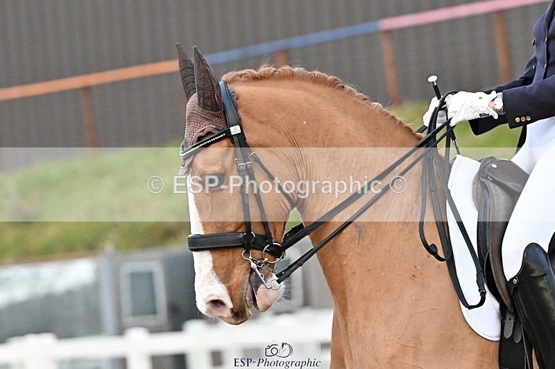 241214-153513-03311 - 109-Katharine.Lewis-Albertho.B