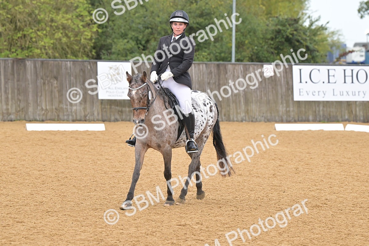 SBM_00501 - D2 - Small Tour Championship Intro 2