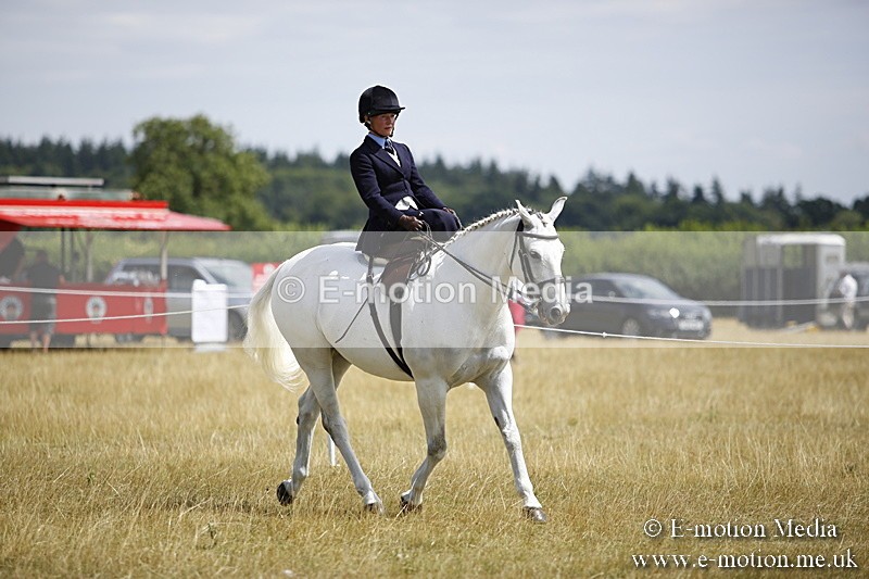 _C7A0292 - Side Saddle Classes BVRC Show 2018